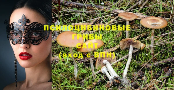 ПСИЛОЦИБИНОВЫЕ ГРИБЫ Бугульма