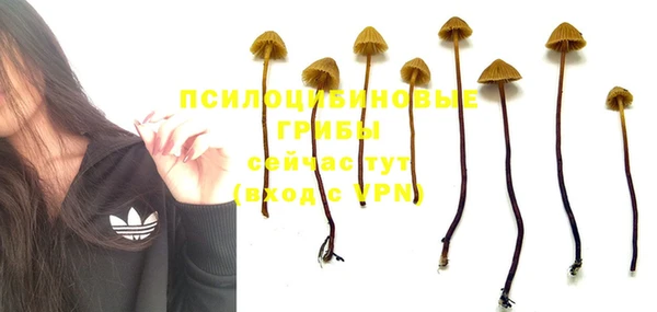 каннабис Бронницы