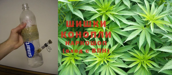 прущая мука Бородино