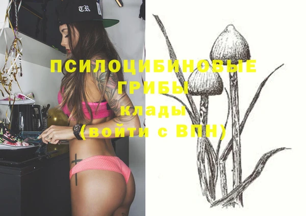 ПСИЛОЦИБИНОВЫЕ ГРИБЫ Бугульма