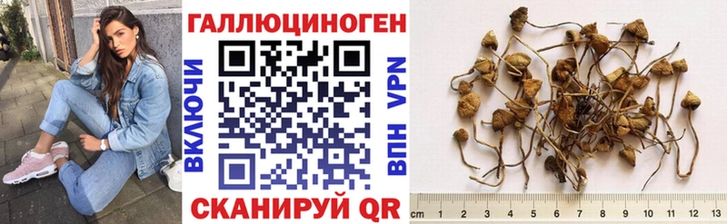 Галлюциногенные грибы Psilocybine cubensis  MEGA онион  Волосово  купить  сайты 